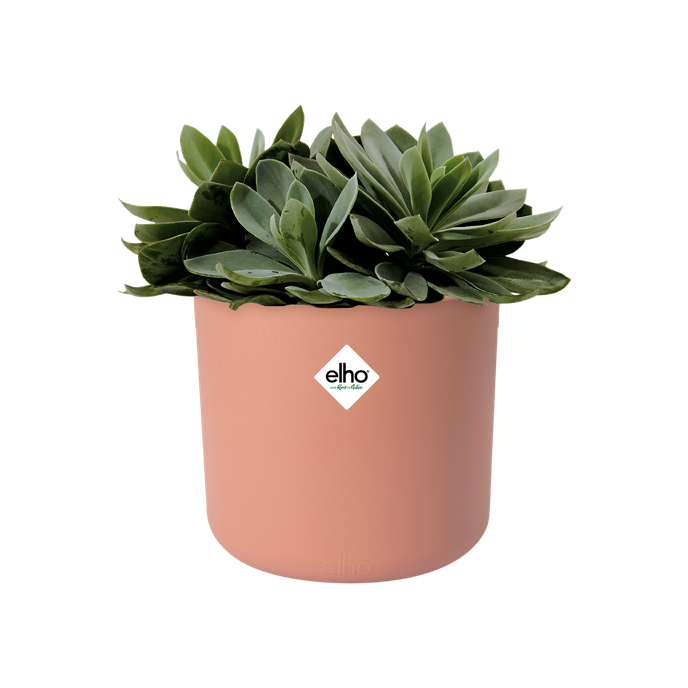 b.for soft rond 16cm rose poudré